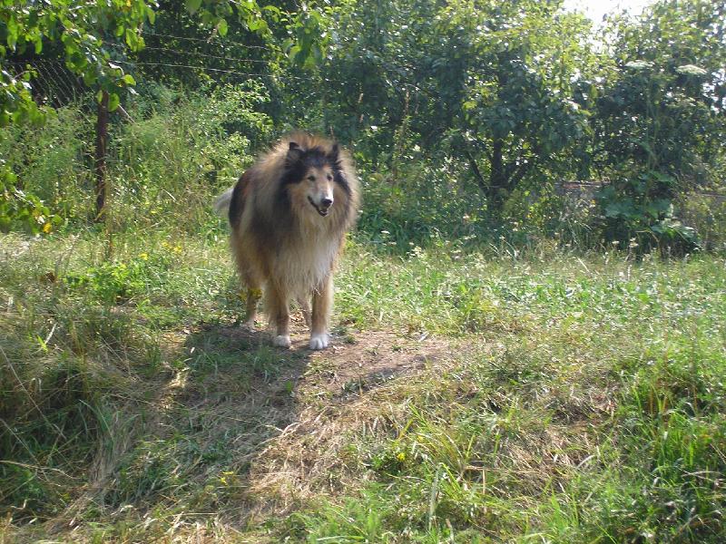 Foto: M�j pejsek