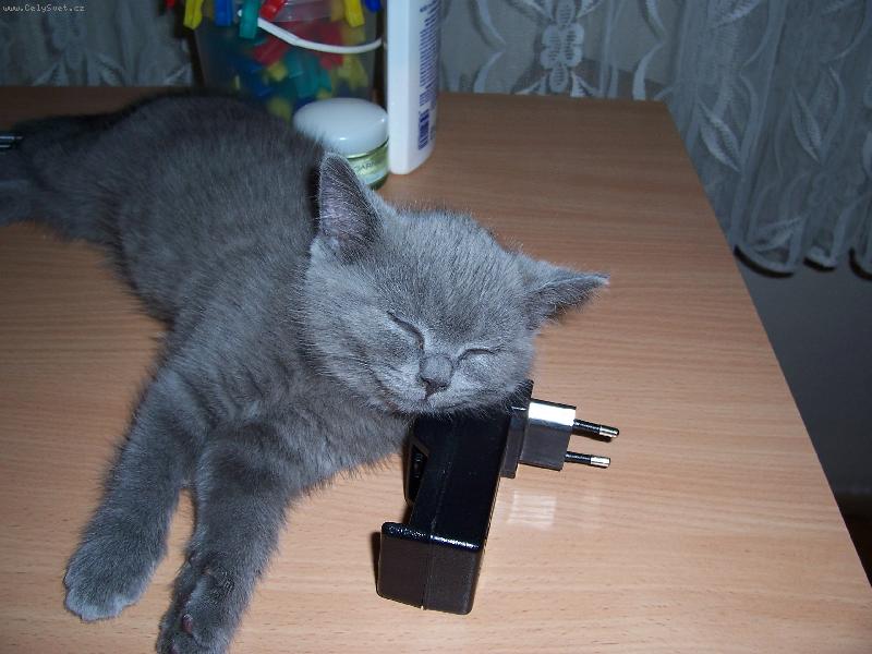 Foto: Pity