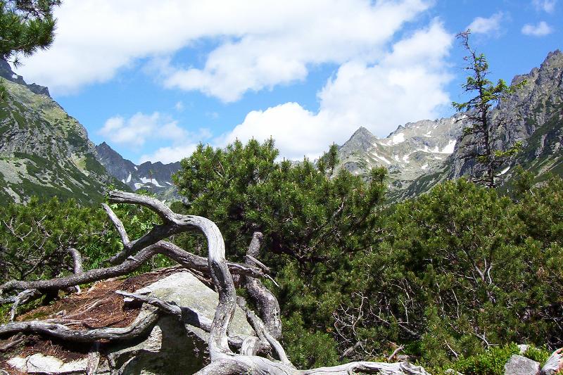 Foto: Tatry