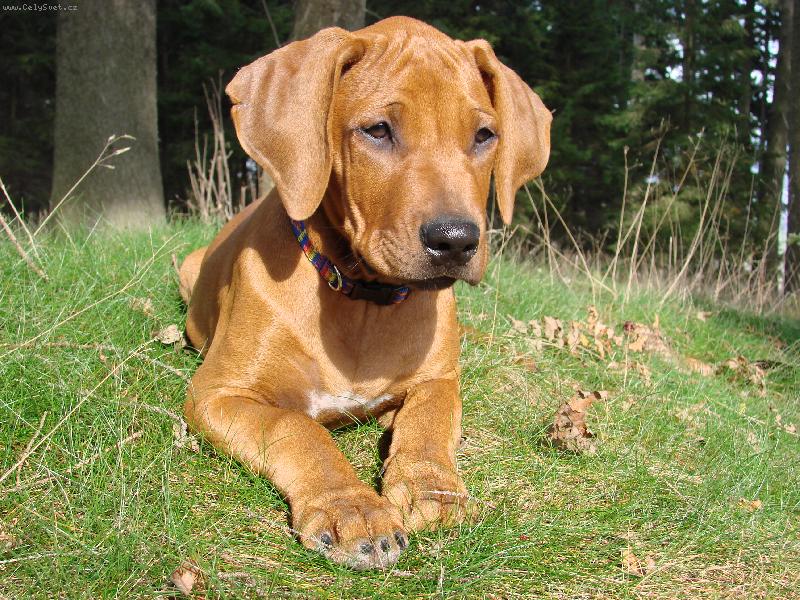 Foto: Monty