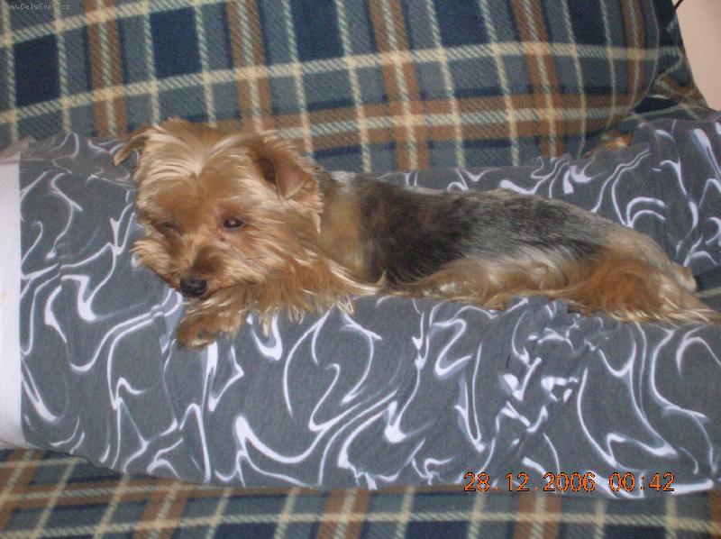 Foto: POHODA-Molly