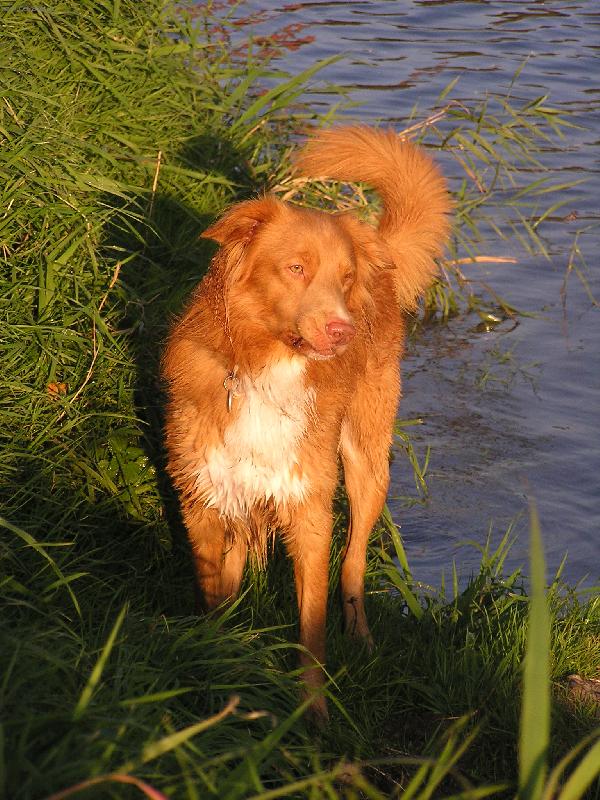 Foto: u vody