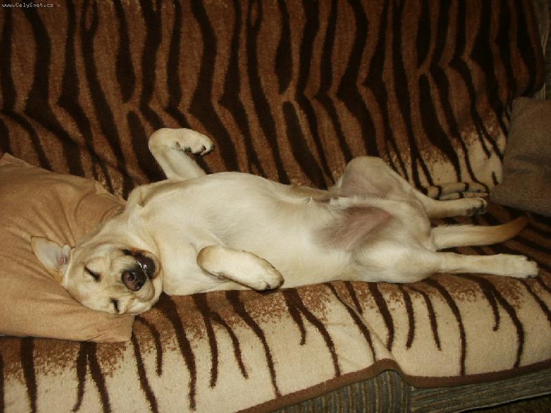 Foto: Coudy