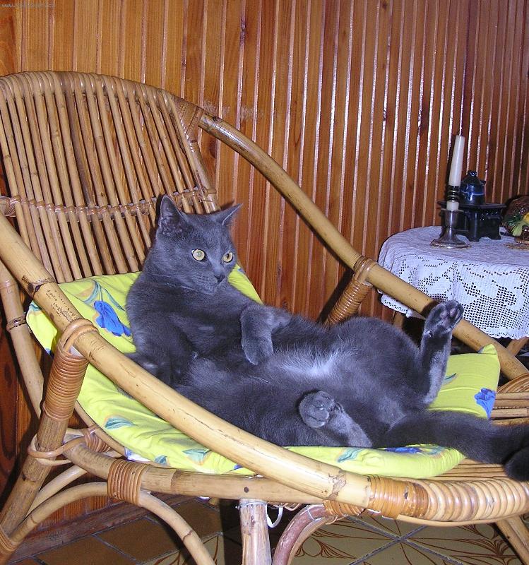 Foto: Tom-pohoda II