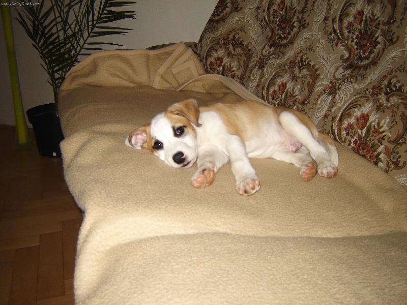 Foto: Gucci