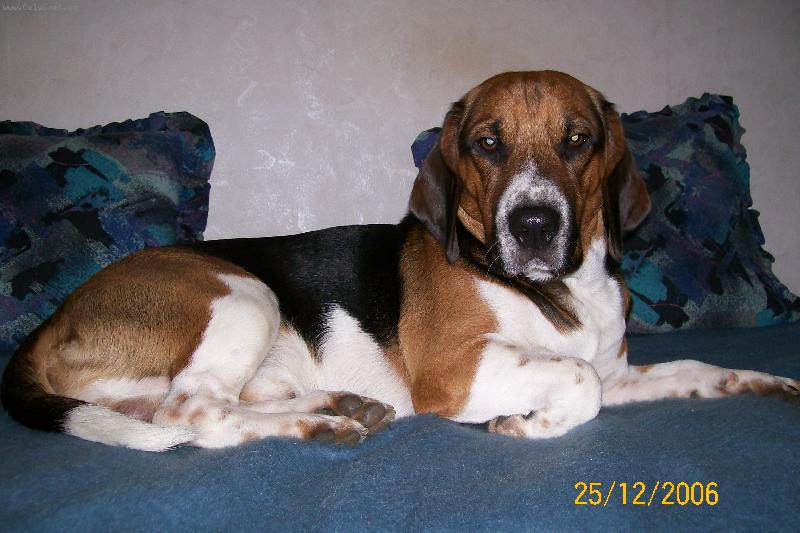 Foto: Rocky
