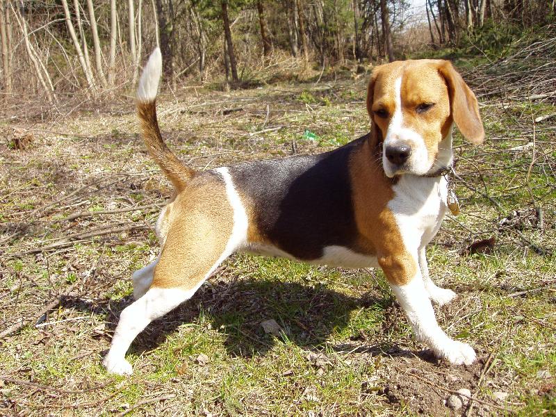 Foto: Postoj-Biggy