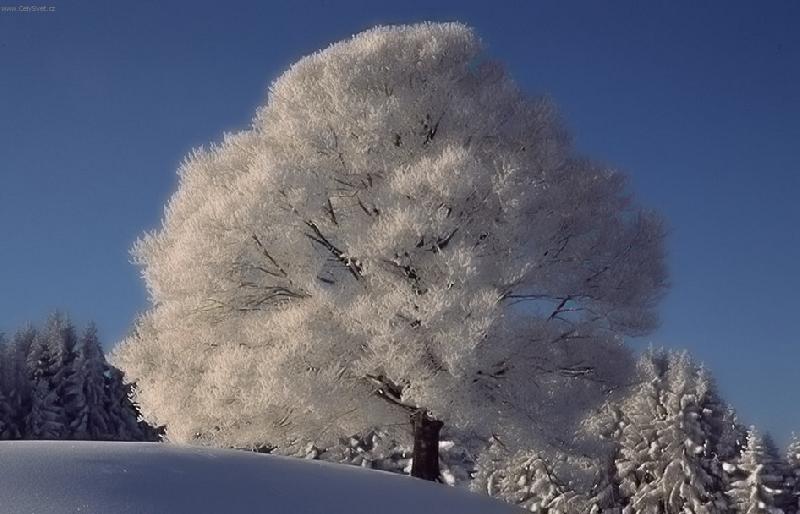 Foto: Krut� zima