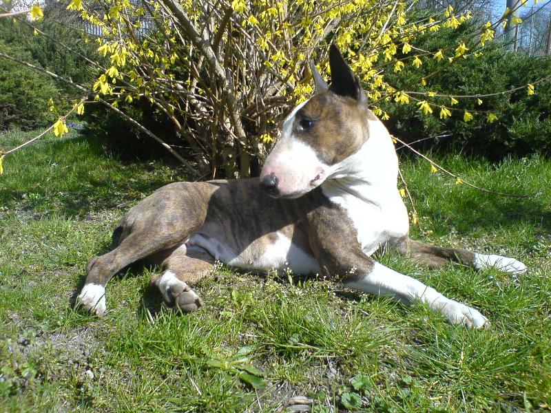 Foto: Peggy
