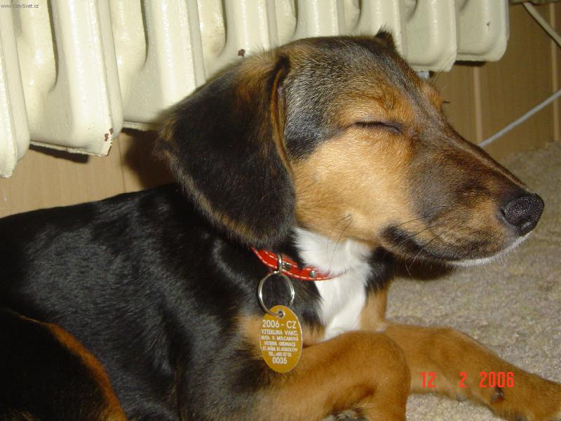 Foto: Bobinka