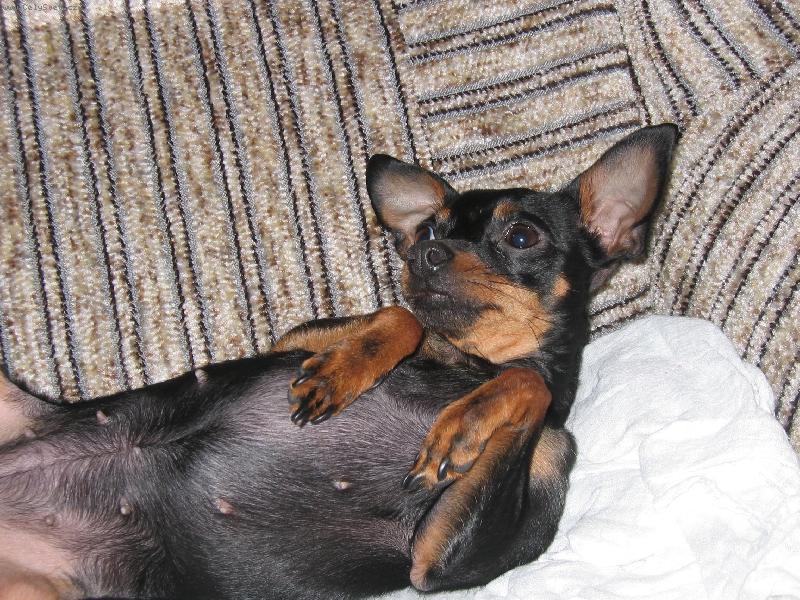 Foto: odpo�inek
