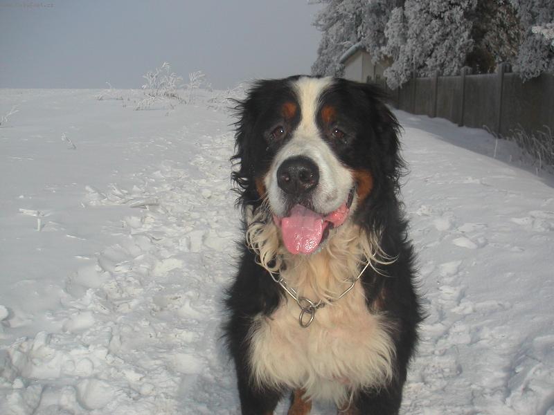 Foto: Berny
