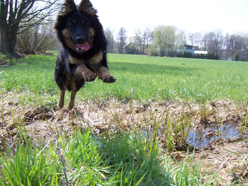 Foto: Jump