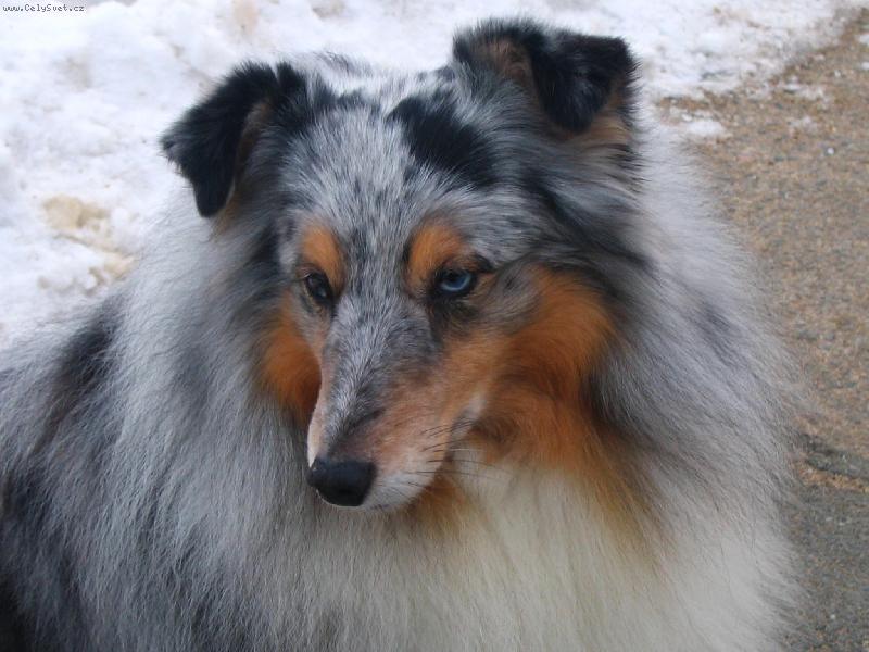 Foto: �eltie2