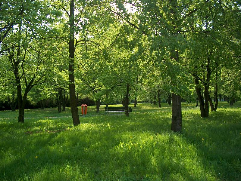 Foto: Park