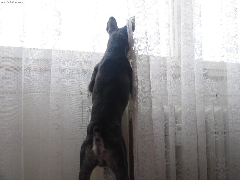 Foto: Benysek-spion