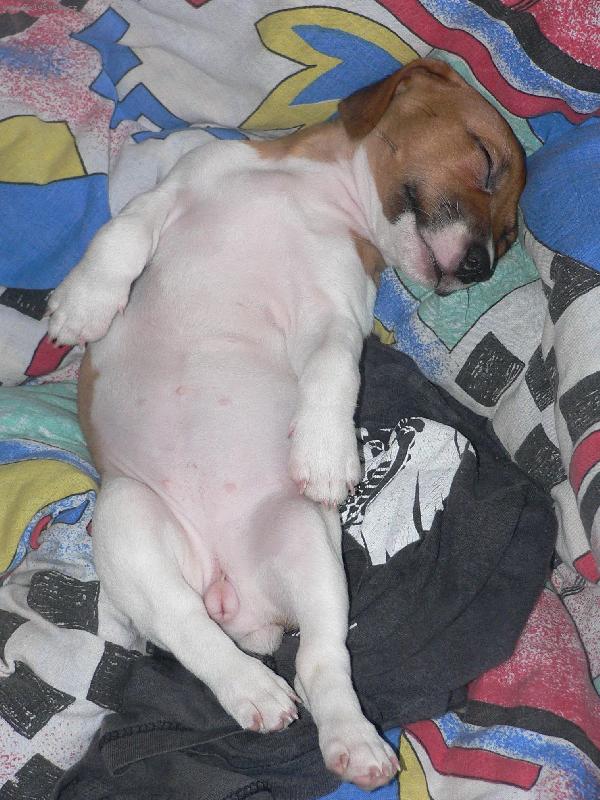 Foto: Jackie
