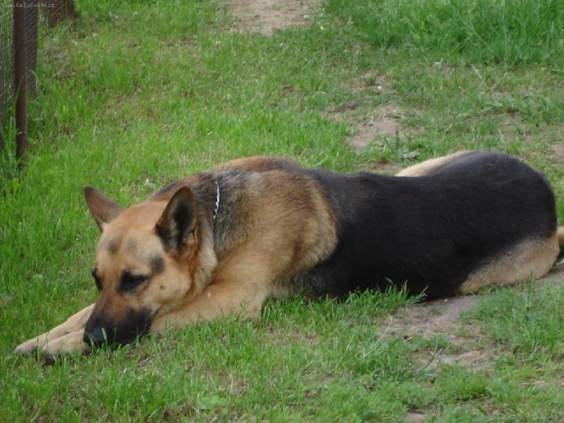 Foto: odpo�inek