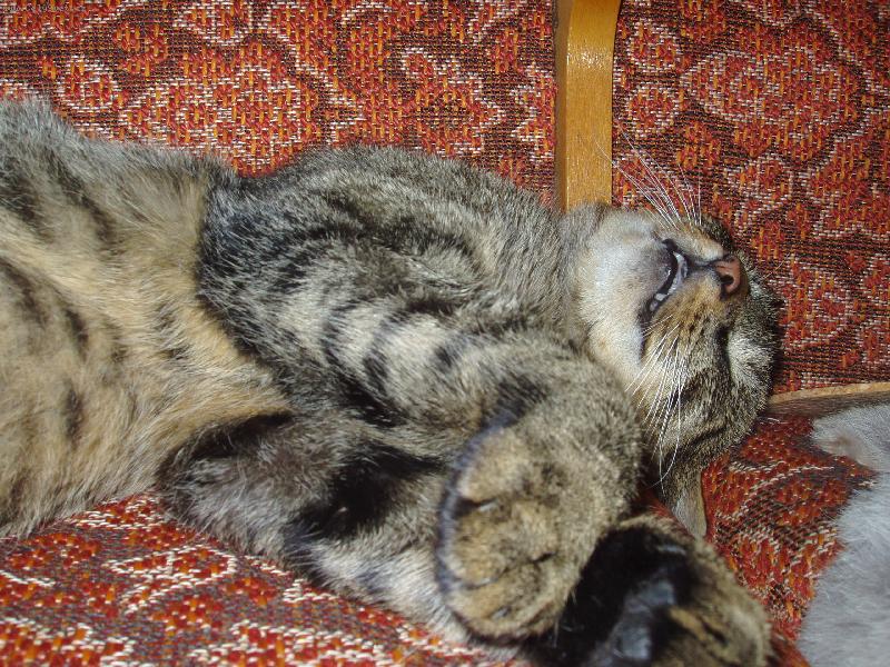 Foto: Edou�ek