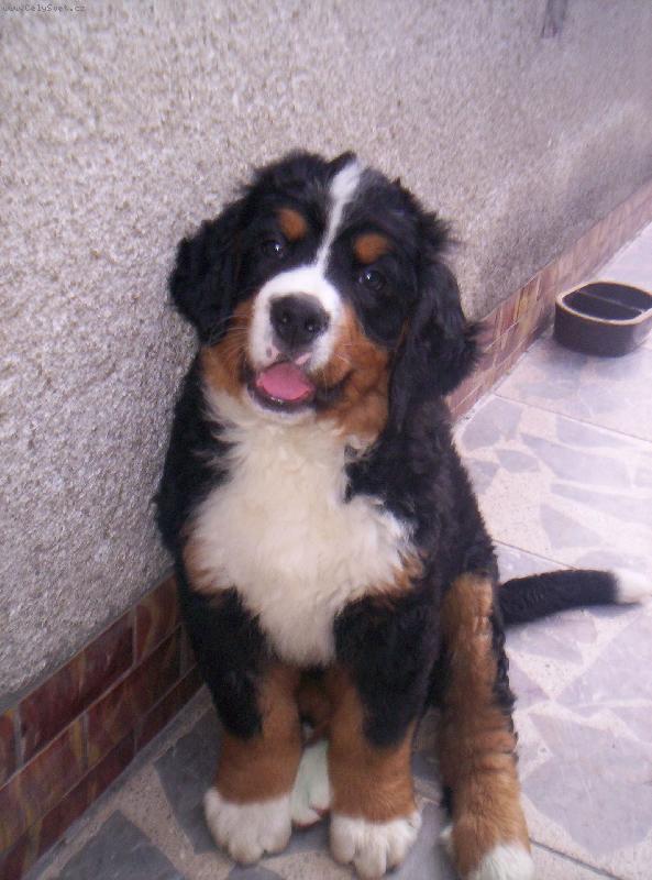 Foto: Berny