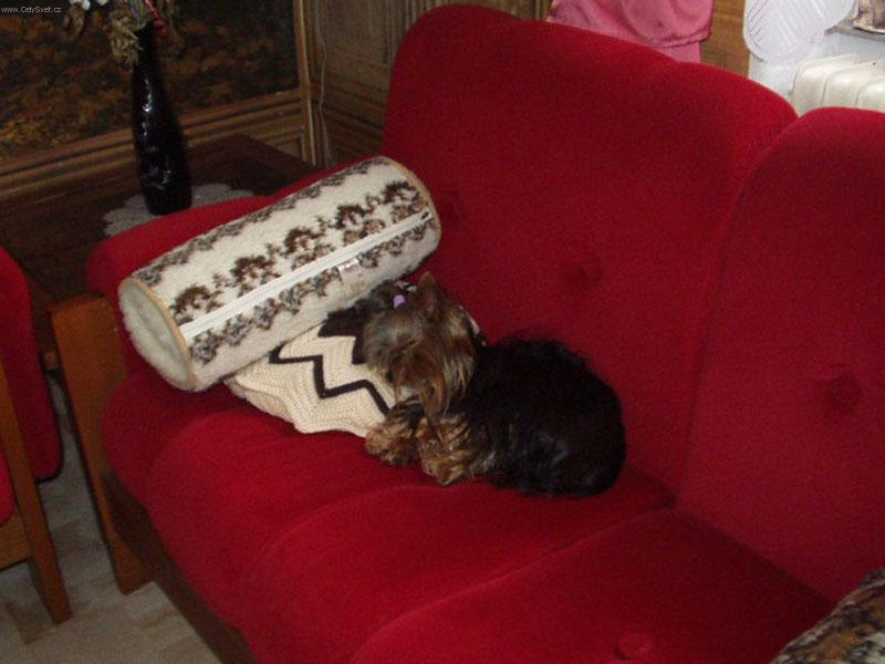 Foto: spink�m