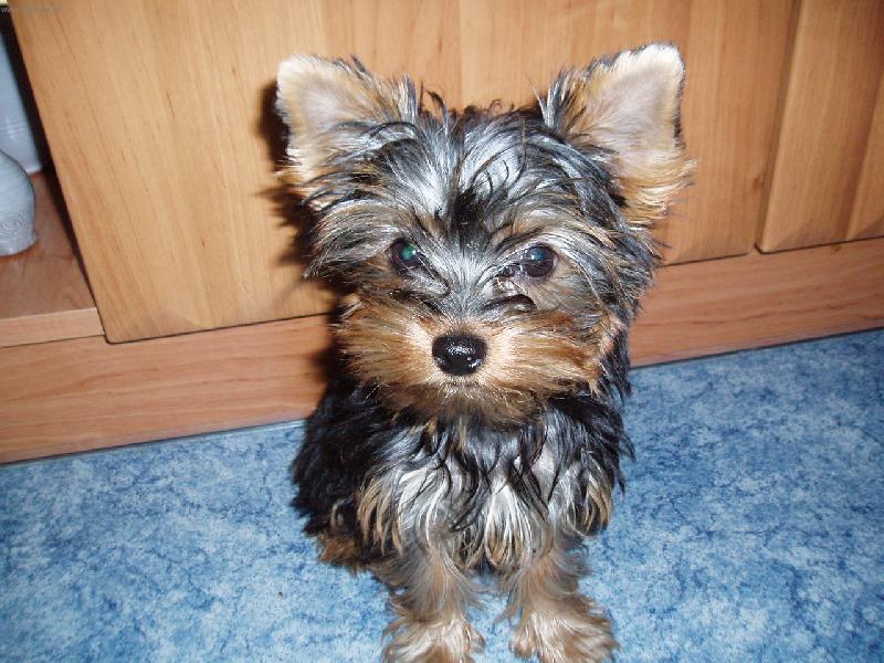 Foto: Betinka