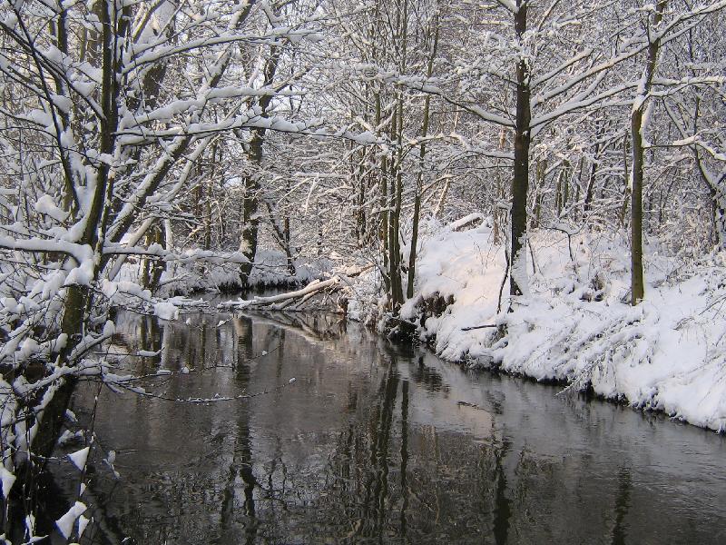 Foto: Pan� zima