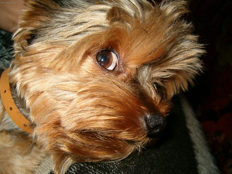Foto: Kuk :))