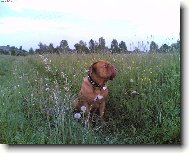Fotomodeling v p��rod�