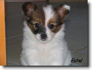 6,5t�dne