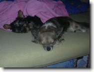 Mat�sek a Max