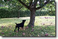 chy� si m�...