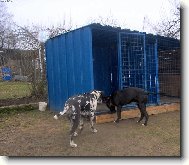 Vysm�t� BANDOG