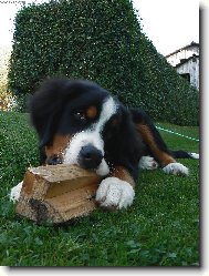 M�m hlad :)