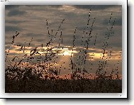 podve�er...