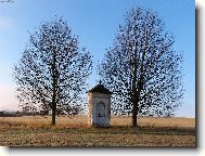 kapli�ka