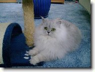 Sof�k