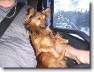 AUTO�KOLA