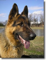 Artu�