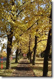 Barevn� podzim
