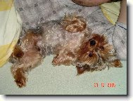 Bert�k