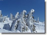 Krkono�e