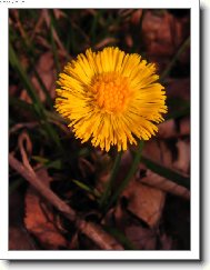Podb�l