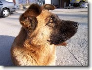 D�ma Betty
