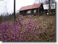 Jaro na Kysuc�ch