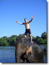 na slonici p�i koup�n� slon� v �ece (Thajsko -Kanchanaburi )