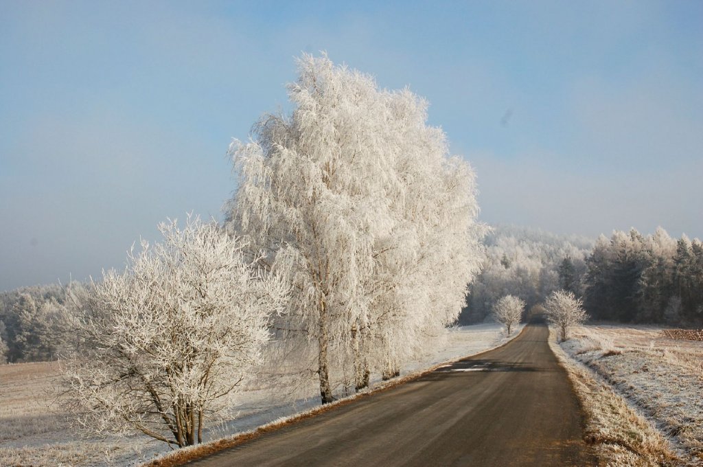 Foto: Zimn� cesta