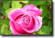 Puzzle on-line