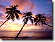 Puzzle on-line