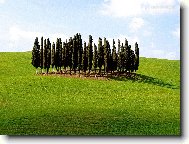 Puzzle on-line